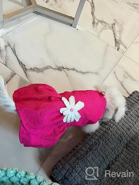 img 1 attached to 🐶 CuteBone Dog Dress with Harness D-Ring for Small Dogs, Wedding Cat Clothes, Girl Puppy Outfit in Pink, Shirt Flower Costume with Bow Hair Rope DW02M: Summer Fashion Must-Have review by Motogp Portillo