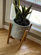 img 1 attached to Stylish And Adjustable Bamboo Plant Stand For Indoor Gardening - MUDEELA 8-12 Inches, Mid Century Modern Design (Natural) review by Veronica Cox
