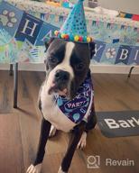 img 1 attached to Celebrate Your Pup'S Big Day With TCBOYING'S 11-Piece Dog Birthday Set – Blue Bandana, Hat, Scarf, Flags, Balloons & More! review by Hamilton Larcony