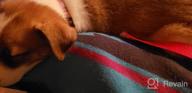картинка 1 прикреплена к отзыву Стильный и практичный: регулируемый племенной ошейник для собак с быстроразъемной пряжкой для собак малых и крупных пород. от Bob Roberts