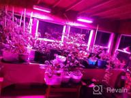 img 1 attached to KUKUPPO LED Grow Light: Red Blue Spectrum, Auto ON/Off Timer, 3 Switch Modes & 5 Dimmable Brightness For Indoor Plants review by Charlie Powell