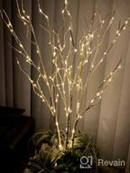 img 1 attached to Lighted Branches With 150 Warm White And Multicolor Fairy Lights, 8 Functions, 32 Inches - Perfect For Room And Christmas Holiday Decorations, By Hairui review by Blake Burrell