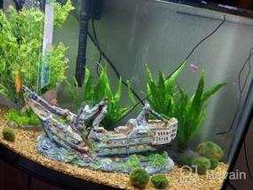 img 5 attached to 🌿 Enhance Your Freshwater Fish Tank with Greenpro Java Fern on Driftwood Live Aquarium Plants