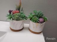 img 1 attached to Stylish And Practical Ceramic Succulent Planters With Drainage Tray - Set Of 4 By DeeCoo review by Darren Munajj