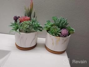 img 8 attached to Stylish And Practical Ceramic Succulent Planters With Drainage Tray - Set Of 4 By DeeCoo