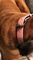 img 1 attached to Upgraded Reflective Dog Collar, Heavy Duty Adjustable Weatherproof Dog Collar, 360° Full Surround Ultra Soft Neoprene Padded, Comfortable And Durable Pet Collar For Small Medium Large Dogs review by Cynthia Good