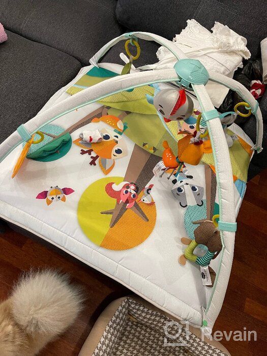 img 1 attached to 🧚 Fairy Forest Developmental Mat: Tiny Love's Interactive Sensory Toy - 1205106830 review by Dorota Boczek ᠌