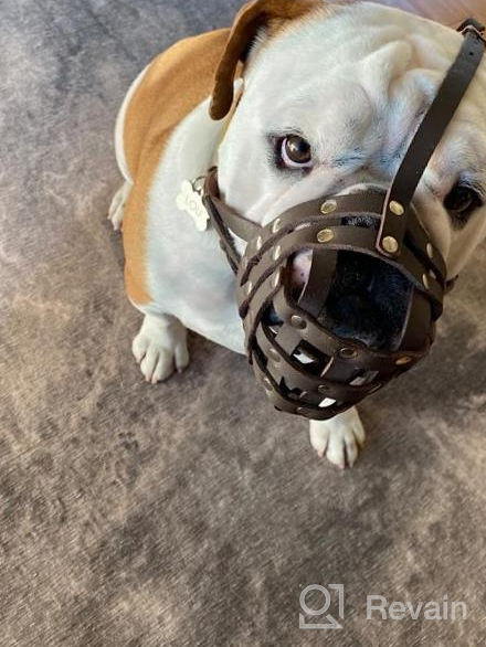 img 1 attached to Secure And Breathable Leather Basket Muzzle For Boxer And Bulldog Breeds - Anti-Bark And Chew Solutions review by Anthony Boylan