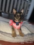 img 1 attached to 2 Pack Princess Bowtie Dog Dresses - Cute Sundresses For Small Dogs By KYEESE review by Lenny Sullivan