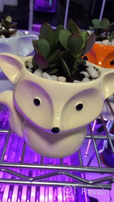 img 1 attached to Set Of 4 Resin Animal Succulent Planters: Fox Shape With Pencil Holders, Perfect For Garden, Flower Vase, And Mini Plant Display review by Darryl Duncan