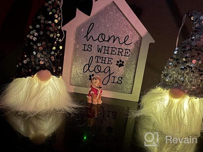 img 1 attached to Set Of 4 Sequined Christmas Gnome Lights - Perfect Nordic Decor For Santa Tomte! review by Rudolph Mceachern