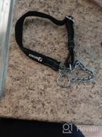img 1 attached to DEYACE Reflective Martingale Dog Collar With ID-Tag Ring And Soft Padded Adjustable Nylon For Various Breeds review by Dean Partybus