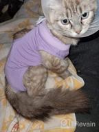 картинка 1 прикреплена к отзыву Surgical Abdominal Wound Recovery For Cats: LIANZIMAU Cat Surgery Suit - Home Indoor Pet Clothing E-Collar Alternative After Surgery от Jeff Strutz