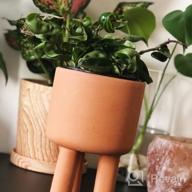 img 1 attached to Set Of 2 - 4.5" Terracotta Clay Plant Pots W/ 3 Legs & Saucer | Indoor Succulent Planters review by Scott Vazquez