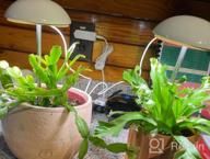 img 1 attached to Full Spectrum LED Grow Lights For Indoor Plants - POTEY 2 Heads, Height Adjustable With Auto On/Off Timer & 5 Dimmable Brightness Settings. review by David Ramirez