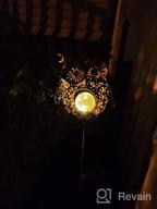 img 1 attached to Illuminate Your Garden In Style With Bronze Solar Fish Stake Lights review by Bob Berry