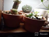 картинка 1 прикреплена к отзыву 6 Inch Terra Cotta Pots With Drainage Hole - Pack Of 4 For Plants, Succulents And Cactus от Jason Hood