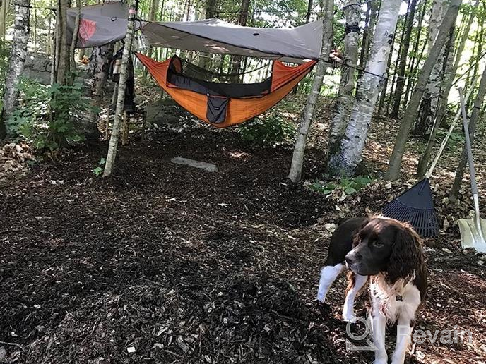 img 1 attached to Lightweight 2 Person Camping Hammock With Mosquito Net & Tree Straps - Perfect For Outdoor Backpacking, Hiking & More! review by Nikith Brewster