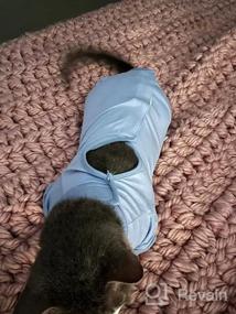 img 6 attached to Surgical Recovery Suit For Cats - Male And Female Abdominal Wounds, Anti-Licking And Skin Disease Pajama, Cone E-Collar Alternative With Soft Fabric - Professional Pet Onesies