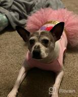 img 1 attached to 🦄 KYEESE Unicorn Tiered Layer Tutu Tulle Dog Birthday Party Dress with Sequins - Perfect for Small Dogs review by Mike Hernandez