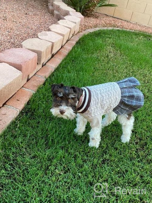 img 1 attached to Medium Grey Dog Sweater Dress Wool Tutu Skirt Winter Warm Knitted Clothes For Small Medium Dogs Girls FLAdorepet review by Doug Daniels