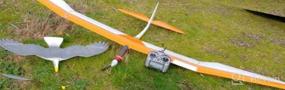 img 7 attached to 33 Inch Wingspan Geospace GEOGLIDE Freedom Eagle Glider - Soar To New Heights!