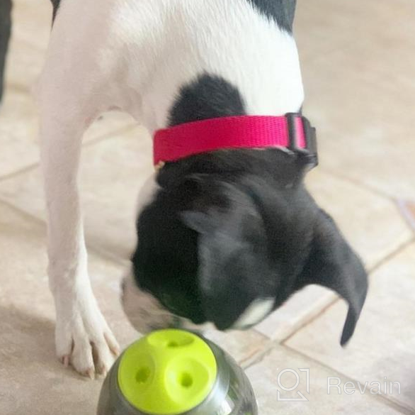 img 1 attached to IQ Treat Ball Dog Toy & Slow Feeder Bowl - Small Interactive Collapsible Stimulating Play, Adjustable Treats Eat Canister Maze Gym Ball - Green review by Jeff Robeson