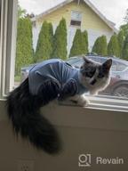 img 1 attached to 🐱 Surgical Abdominal Wound Recovery Suit for Cats - Indoor Pet Clothing & E-Collar Alternative Pajama Suit After Surgery review by Steve French