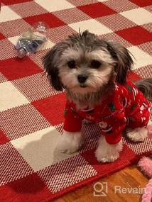 img 8 attached to ❤️ KYEESE Valentine's Day Dog Pajamas: Pink Heart Patterned PJs for Small Dogs - Soft, Stretchable Velvet Onesie for Holiday Comfort