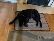 img 1 attached to Pet Cooling Mat For Small Dogs And Cats - XZKING Cool Blue Pad (15.7X19.7) review by Chris Laznovsky