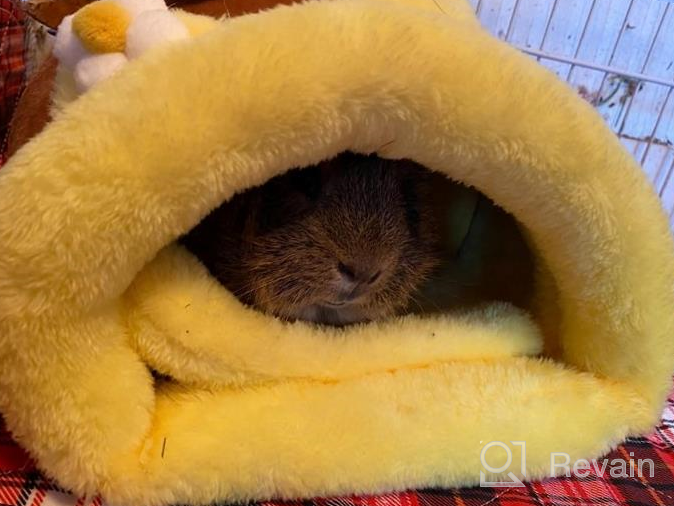 img 1 attached to Cozy Fleece Snuggle Sack Bed For Small Animals - Rabbit, Guinea Pig, Hamster, Chinchilla, Squirrel, Rat - Yellow Bee Design - Ideal For Cage - Size Small review by Lee Rodriguez