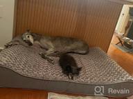img 1 attached to 🐶 Furhaven XXL Orthopedic Dog Bed - Plush Faux Fur & Suede Lounger - Gray, Jumbo Plus (XX-Large) - Removable/Washable Cover review by Justin Cage