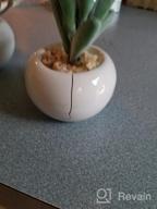 img 1 attached to Bring Home The Beauty Of Lvydec'S Mini-Sized Artificial Succulent Plants In Porcelain Pots - Perfect For Home, Bath, Or Office Decor! review by Owen Blanco