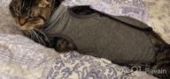 img 1 attached to Surgical Abdominal Wound Recovery For Cats: LIANZIMAU Cat Surgery Suit - Home Indoor Pet Clothing E-Collar Alternative After Surgery review by Zac Pewitt