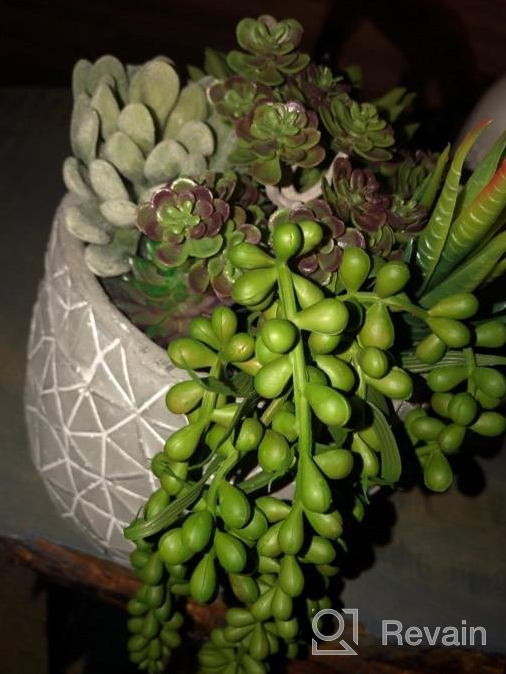 img 1 attached to Supla Pack of 6 Assorted Artificial Succulents Plant Picks - Textured Faux Succulent Stems, Fake Succulent Bouquet, String of Pearls for Faux Succulent Floral Arrangement Accent review by Phil Prater