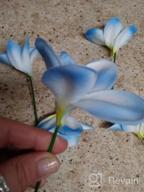 img 1 attached to 🌺 Pack of 10 Lifelike Artificial Plumeria Frangipani Flower Bouquets for Wedding, Home, and Party Decoration - Real Touch, Winterworm (Light Blue) review by Jason Marquez