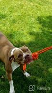 img 1 attached to Interactive Tug-Of-War Dog Toy For Medium To Large Dogs - XiaZ Bungee Tug With 2 Ropes For Solo Play! review by Trey Samuels