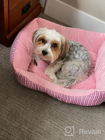 img 1 attached to Cozy TC Fabric Pet Bed For Small Dogs And Cats With Self-Warming Technology - Pink Plush Design By Hollypet review by Adrian Summers