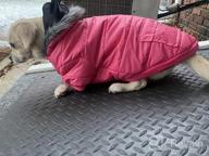 img 1 attached to Warm & Windproof Dog Coats For Small Dogs - LesyPet Grey S review by Michael Cullen