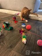 img 1 attached to 16PCS Cat And Kitten Toy Assortment: Interactive Feather Teasers, Mouse Tumblers, Mylar Crinkle Balls, Bells And More - Perfect For Chewing And Playing (Random Colors) review by Kelly Sadiq