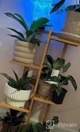 img 1 attached to 5 Tier 6 Potted Plant Stand Rack: Bamboo Flower Pot Holder Shelf For Indoor/Outdoor Planter Display Shelving Unit In Patio Garden, Corner Balcony & Living Room review by Joseph Elvis