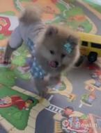 img 1 attached to Stylish Plaid Dog Shirts And Overalls For Small Dogs And Puppies By SGQCAR review by Samuel Lewis