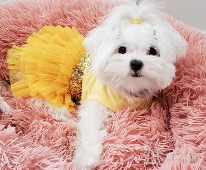 img 1 attached to 🦄 KYEESE Unicorn Tiered Layer Tutu Tulle Dog Birthday Party Dress with Sequins - Perfect for Small Dogs review by Steven Darkshnar