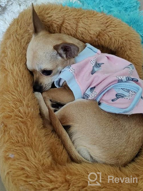 img 1 attached to Dog Recovery Suit After Surgery, 2Nd Edition - Male Female Dog Cats Cone E-Collar Alternative Abdominal Wounds Spay Bandages Onesie Anti-Licking Pet Surgical Snuggly Suit review by Chris Ryokan