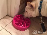 img 1 attached to Wangstar Slow Pet Bowl: The Perfect Solution For Slow Feeding And Bloat Prevention For Dogs And Cats review by Lyle Stepp