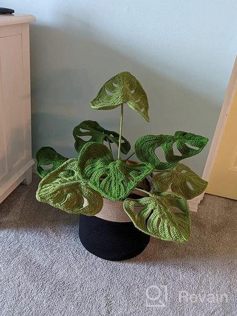 img 1 attached to Stylish And Versatile: OrganiHaus 2-Pack White Woven Baskets For Indoor Plants - 10 & 12 Inch Planter Cover, Flower Pot Wraps, And Fiddle Leaf Fig Pots review by Gerardo Goodson