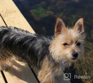 img 1 attached to Senior Yorkshire Terrier Dry Dog Food By Royal Canin For Dogs Over 8 Years Old review by Brad Fleming