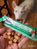 img 1 attached to Delicious & Nutritious INABA Churu Bites - Grain-Free Soft Chewy Chicken & Tuna Treats For Dogs With Vitamin E - 64 Tubes (8 Per Pack) review by Christine Gauthier