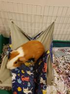 img 1 attached to Small Animal Hanging Hammock Bed For Ferret Hamster Parrot Rat Guinea-Pig Mice Chinchilla Flying Squirrel - Pink Strawberry review by Scott Mcgowan