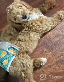 img 8 attached to Keep Your Furry Friend Comfortable: Dono Washable Reusable Female Dog Diapers - No Leaks, High Absorbency, Adjustable Straps, 3-Pack